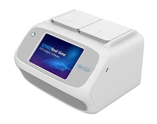 Real time PCR